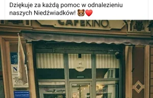 W Bydgoszczy ktoś ukradł misie wystawione przed restaurację