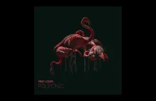 Pinky Loops • album "Polifonic" • Violin & Cello • Instrumental Music