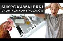 Mikrokawalerki - chów klatkowy Polaków. Patodeweloperka