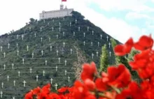 77. rocznica bitwy o Monte Cassino. Olbrzymia ofiara Polaków dla wolnej Europy