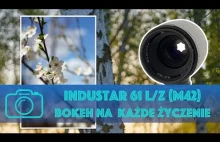 Industar 61 L/Z (M42) - bokeh na każde życzenie