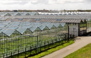 Rolnicy w Holandii mają problem z podłączeniem instalacji PV do sieci