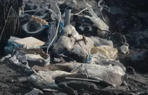 Plastik, szkło i odpady po remoncie… Wody Polskie walczą z plagą śmieci