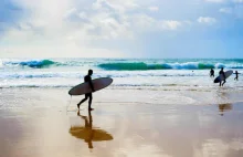 Surfer dies after being bitten by 4.5m great white shark on NSW mid-north...