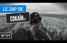 Le Zap de Cokaïn.fr n°171