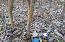 Deszcze i... ekolodzy wstrzymali akcję usuwania przerażającego "morza" śmieci