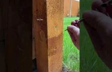 Jak odkręć wkręt tkwiący w kawałku drewna