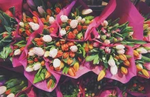 Zabrzański magistrat wydał prawie 271 tys. zł w jednej kwiaciarni na... kwiaty