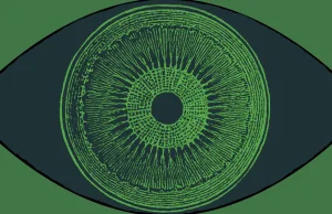 Niewidomy może widzieć przedmioty po tym, jak do jego oka dodano gen z alg