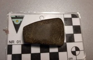 Ma nawet 6 tys. lat - neolityczna siekierka znaleziona pod Toruniem