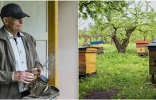 Nestor poleskich pszczelarzy: Codziennie 2 łyżki pyłku sobie zjadam przez...