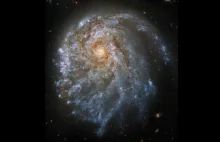 Galaktyka, która zmienia kształt. Uwiecznił ją Kosmiczny Teleskop Hubble'a
