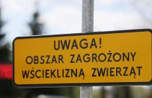 Kolejne przypadki wścieklizny u zwierząt dzikich na Mazowszu