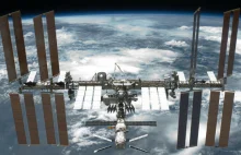 Zwierzęta lecą w kosmos. Elon Musk zorganizował wyprawę na ISS
