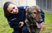 Warszawska Policja uzupełniła 4 psy, które zginęły podczas awarii ciepłowniczej