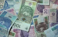 Ile banknotów i monet jest w obiegu w Polsce? Ile z nich fałszywych? NBP...