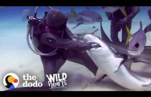 Historia kobiety, która wyciągnęła ponad 300 haczyków z pysków rekinów.