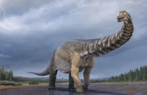 Gigantyczny dinozaur z Australii - był długi jak boisko do koszykówki