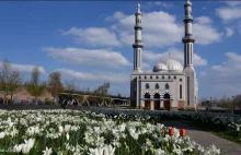 Rząd Holandii zaostrza ustawy dotyczące meczetów