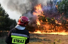 Ostrzeżenia dla 13 województw. Najwyższy stopień zagrożenia pożarowego w...