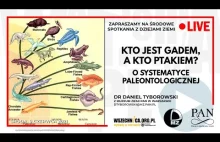 Kto jest gadem, a kto ptakiem? O systematyce paleontologicznej