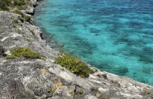 Bonaire - jedź na wakacje a znajdziesz miejsce marzeń do życia! - Ewa...