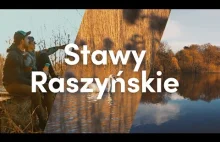 Stawy Raszyńskie - Raj dla ornitologa tuż pod Warszawą