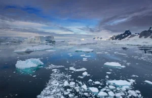 Nie 4 a 5? Ocean Południowy oficjalnie uznany przez National Geographic...