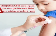 Pfizer chce szczepić na COVID-19 dzieci, także te sześciu miesięczne!...