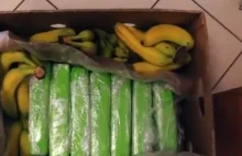 Kokaina w bananach sprzedanych do znanej sieci sklepów