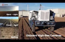 Rolnictwo bez nawozów- autonomiczny robot zwalcza chwasty