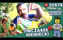 OWCZAREK NIEMIECKI - Lego Creator 3in1 30578 / SPEEDBUILD + RECENZJA 3 modeli