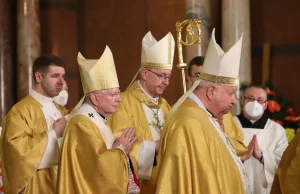 W Krakowie biskupi przepraszają za pedofilię i inne grzechy Kościoła