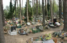 Lubelskie: Powstanie pierwszy cmentarz dla zwierząt?