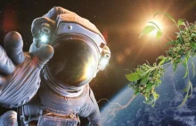NASA dostarcza astronautom, za pomocą SpaceX, zapas konopi indyjskich -...