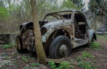 Tajemnicza kolekcja zapomnianych samochodów pod Warszawą