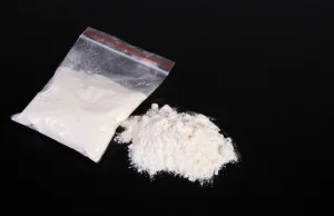 We Włoszech zniszczono skonfiskowaną kokainę o wartości pół miliarda euro.