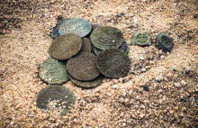 Skarb 99 srebrnych monet krzyżackich odkryty pod Toruniem! (GALERIA)