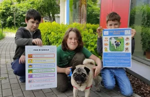 We Wrocławiu psy pomagają uczniom w powrocie do stacjonarnej nauki.
