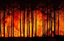 Tysiące strażaków walczy z ogromnymi pożarami bezkresnych lasów na Syberii