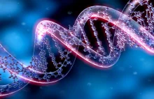 Naukowe odkrycie roku: Informacje z RNA można wpisać z powrotem do DNA!
