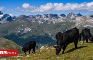 Szwajcary odrzucają w referendum pomysły przeciwdziałania zmianom klimatu