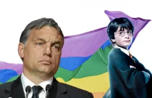 Niepełnoletni Węgrzy nie obejrzą już "Harrego Pottera" czy "Przyjaciół"