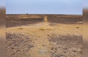 Największy znany geoglif został znaleziony dzięki Google Earth