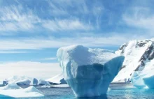 Rosną wpływy Chin na Antarktydzie. Dyplomaci i naukowcy ostrzegają