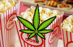 Top 10 Stoner Movies II – najlepsze filmy do obejrzenia na haju