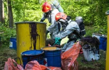 Niebezpieczne odpady w lasach na Kujawach i Pomorzu