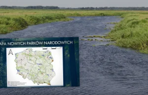 W Polsce od 20 lat nie powstał nowy park narodowy