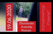 Zboczeniec. Policja w Akcji 2020. Avenida. Puchatek Poznań.