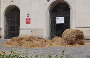 Kupa gnoju pod ministerstwem rolnictwa